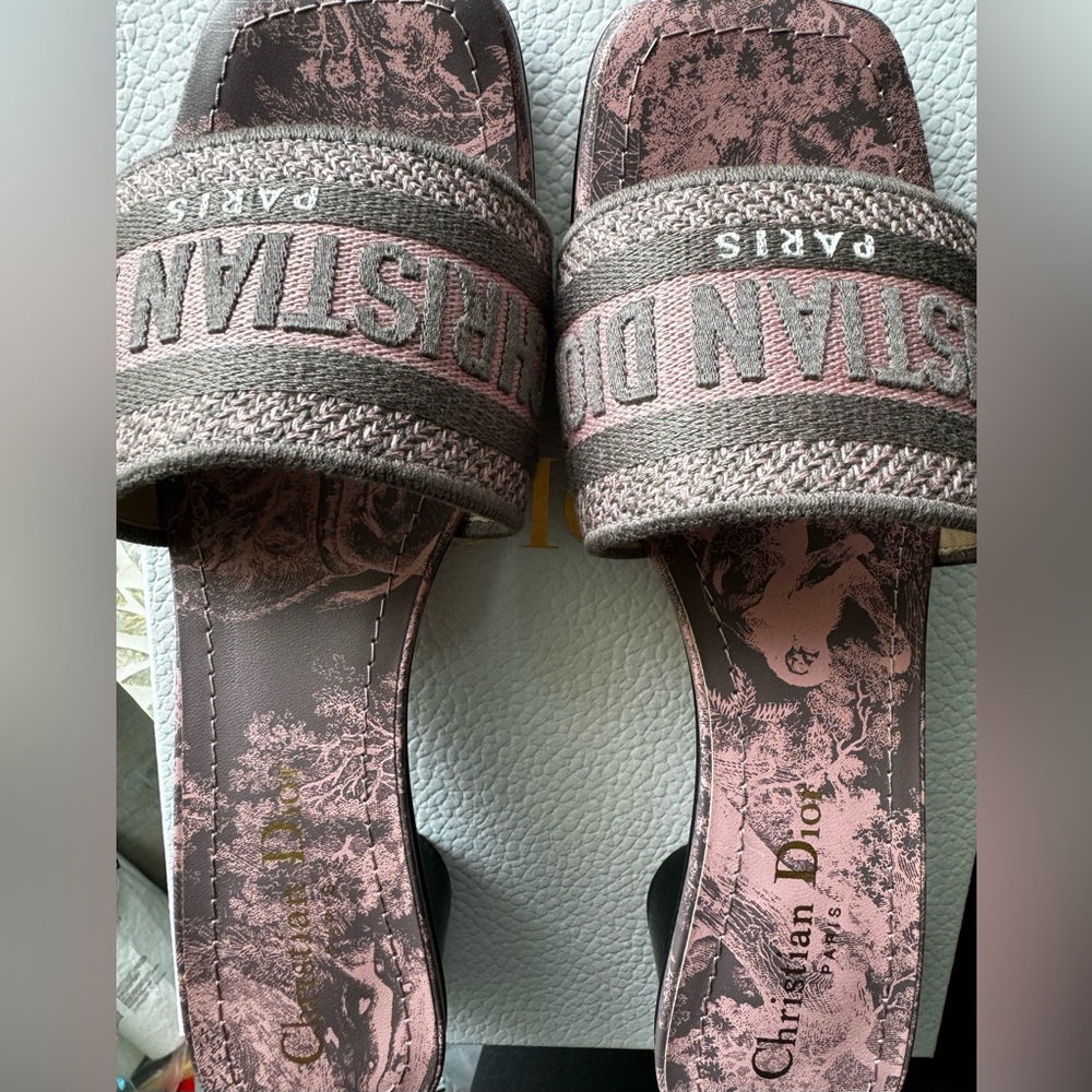 Dway Heeled Slide Dior Sandal